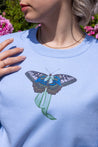 butterfly sweater